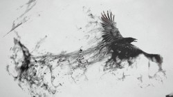 Raven Bird Flying Wallpaper