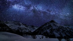 Winter Sky Stars Wallpaper