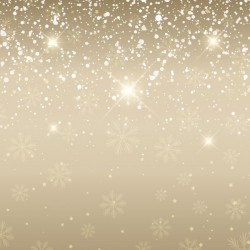 Elegant christmas background with snow Vector