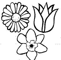 Empty Flower Pot Coloring Pages