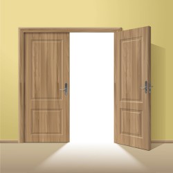 Exquisite wooden doors design vector 01