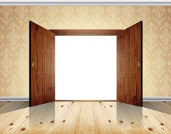 Exquisite wooden doors design vector 03