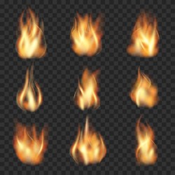 Flame illustration set vector 03