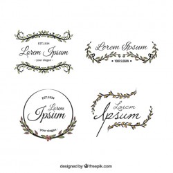 Floral logo template collection