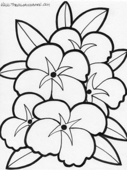 Flower Coloring Pages