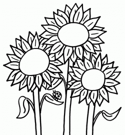 Flower Coloring Pages