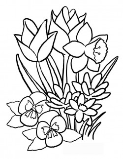 Flower Coloring Pages Preschool