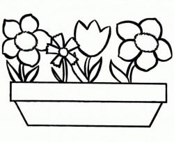 Flowers Coloring Pages