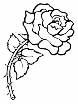Free Printable Flower Coloring Pages For Kids – Best Coloring Pages For Kids