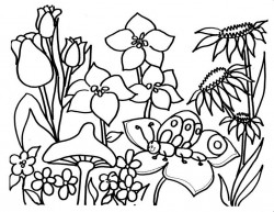 Free Printable Flower Coloring Pages For Kids – Best Coloring Pages For Kids