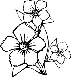 Free Printable Flower Coloring Pages For Kids – Best Coloring Pages For Kids