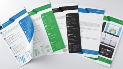 Free Professional Resume Set | Seeker Link