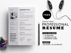 FREE Professional Resume Template