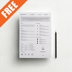 FREE professional resume template