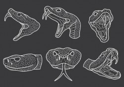 Free Rattlesnake Icons Vector