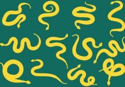 Free Rattlesnake Icons Vector