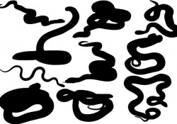 Free Snake Silhouette Vector