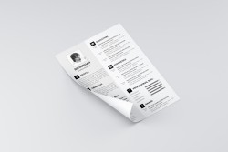 Freebie Resume template | Seeker Link