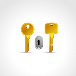 Golden key and keyhole vector