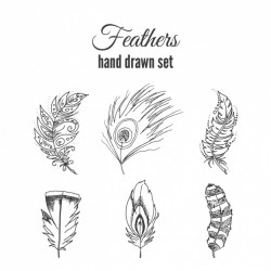 Hand drawn feather set