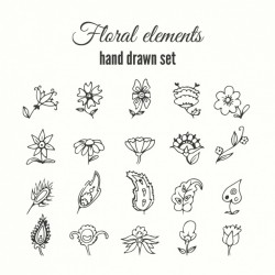 Hand drawn flower set