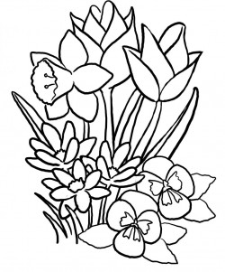Hawaiian Flowers Coloring Pages