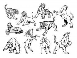 Line art animal pattern 01