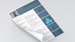 Material Style Free Resume | Seeker Link