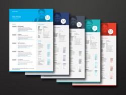 Neue Swiss Resume update