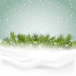 Nice background with pine leaves for christmas