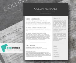 Plain but Trendy – The Free Modern Resume Template