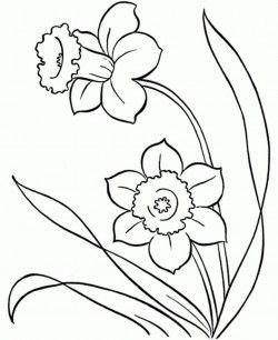 Preschool Spring Flowers Coloring Pages