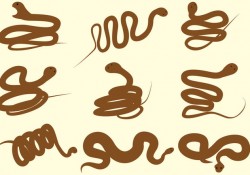 Rattlesnake Vector Free