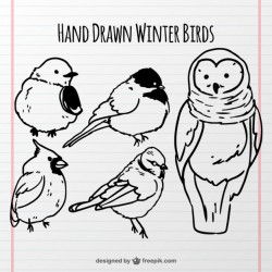 Set of cute birds sketches