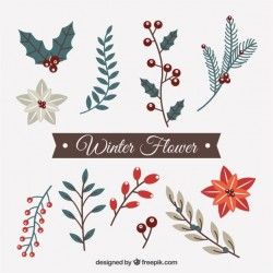 Set of decorative winter flowers