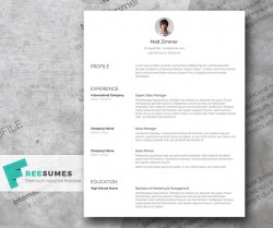 Spick and Span – A Clean Resume Template Freebie