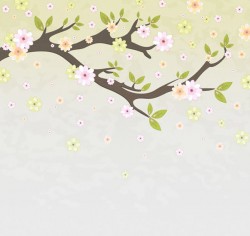 Spring flowering trees vector