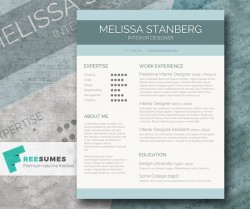 Stylish CV Template Freebie – The Modern-Day Candidate