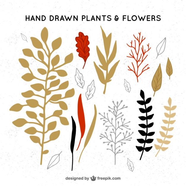 Variety of hand drawn decorative leaves