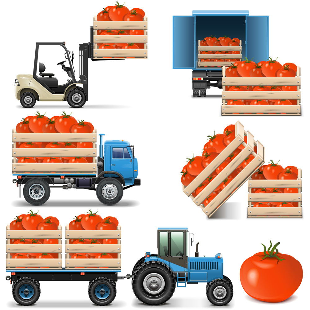 Vegetable truck vector
