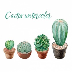 Watercolor cactus collection