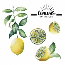 Watercolor lemons collection
