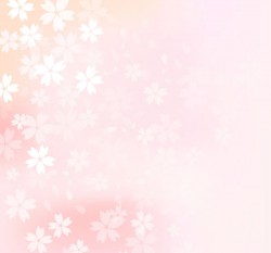 Ya cherry flowers background