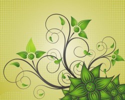 Beautiful Flower Vector