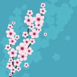 Blossom Flower Vector