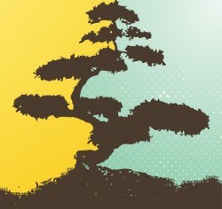 Bonsai tree Vector