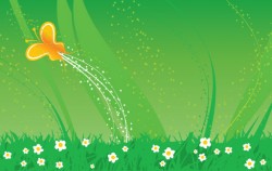 Butterfly dance Vector