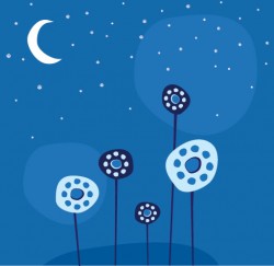 Night Flowers Vector