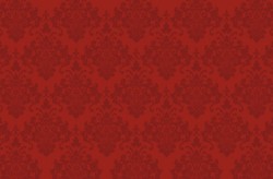 Ornament pattern Vector