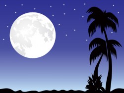 Romantic moon Vector
